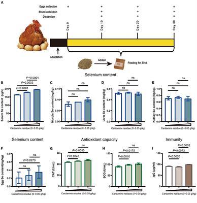 Dregs of Cardamine hupingshanensis as a feed additive to improve the egg quality